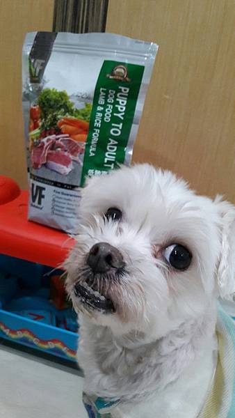 VF_170527_0019.jpg VF_170527_0019.jpg