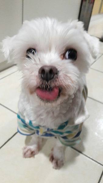 VF_170527_0034.jpg VF_170527_0034.jpg