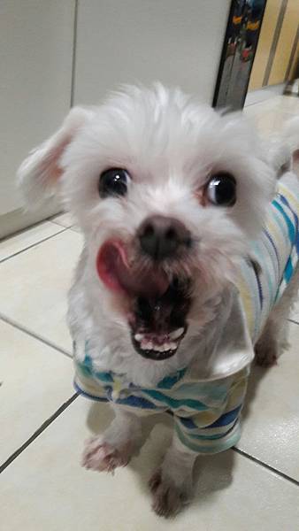 VF_170527_0038.jpg VF_170527_0038.jpg