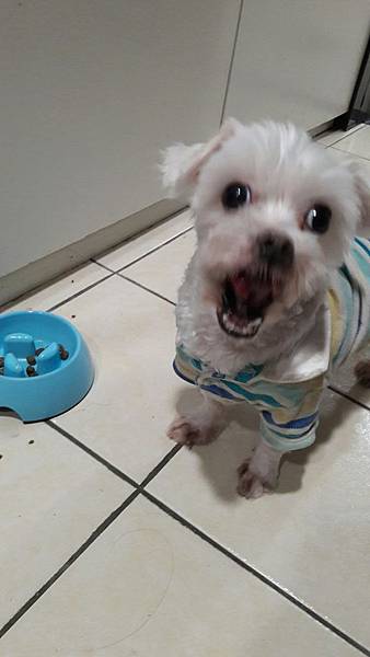 VF_170527_0039.jpg VF_170527_0039.jpg