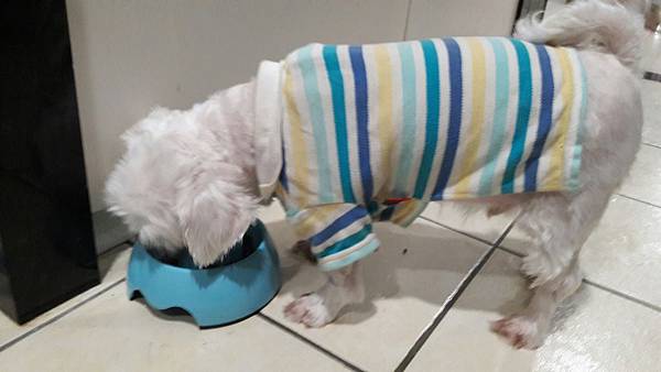 VF_170527_0051.jpg VF_170527_0051.jpg