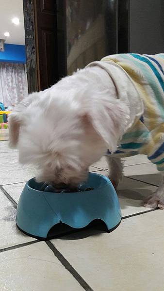 VF_170527_0055.jpg VF_170527_0055.jpg