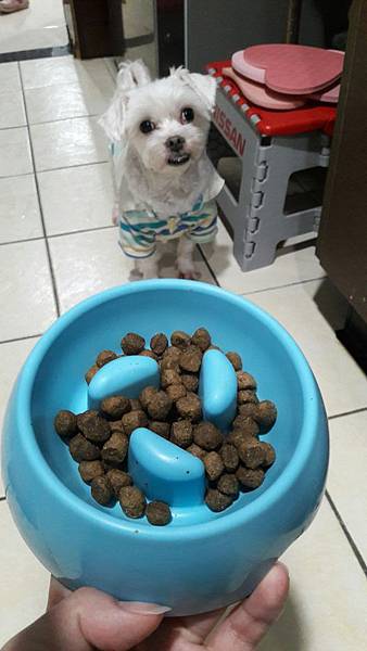 VF_170527_0062.jpg VF_170527_0062.jpg