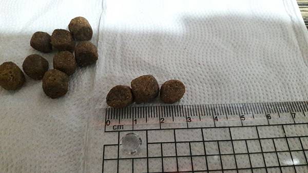 VF_170527_0066.jpg VF_170527_0066.jpg