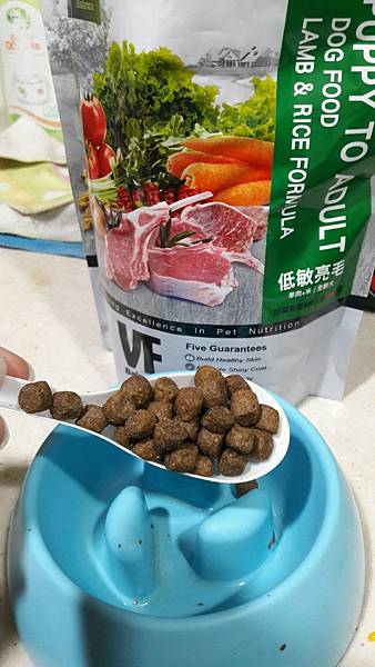 VF_170527_0065.jpg VF_170527_0065.jpg