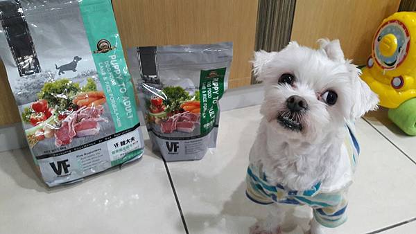 VF_170527_0070.jpg VF_170527_0070.jpg