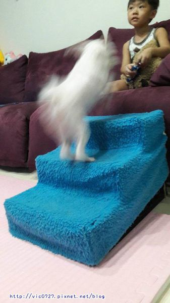 1472575836-3916770005_n.jpg 1472575836-3916770005_n.jpg