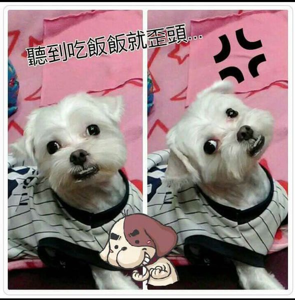 1472575908-3229513978_n.jpg 1472575908-3229513978_n.jpg