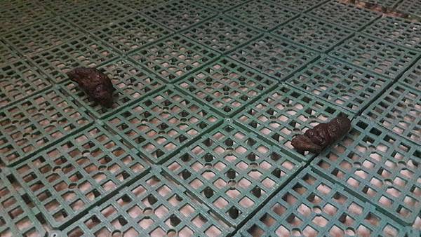 VF_170831_0080.jpg VF_170831_0080.jpg