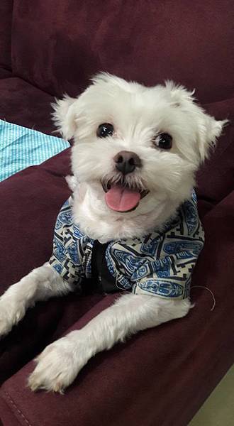 13256228_1282797938401391_2691853582557770016_n.jpg 13256228_1282797938401391_2691853582557770016_n.jpg