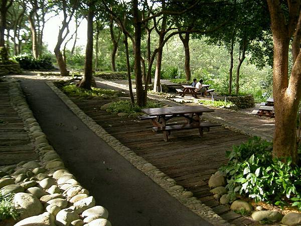 PICT6435.JPG