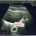 2012/08/18 喊嗲6W5D