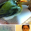 2012-10-17 13:06:08