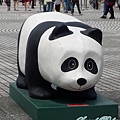 圓仔-5.jpg