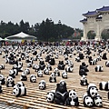 圓仔-1.jpg