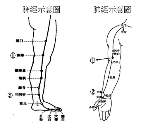 脾經與肺經示意圖.jpg