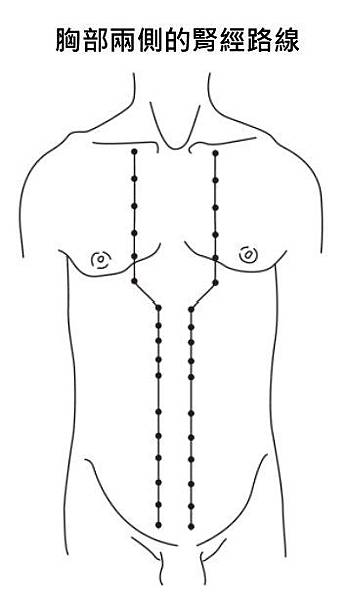 7胸部兩側的腎經路線.jpg