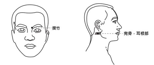 9攢竹完骨耳根部.jpg