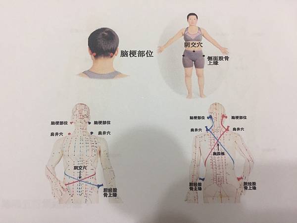 S__1851452.jpg S__1851452.jpg