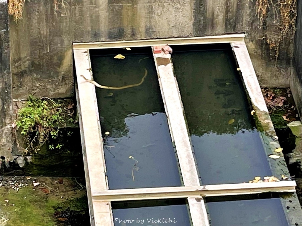 /tmp/phpclDWfY /tmp/phpclDWfY