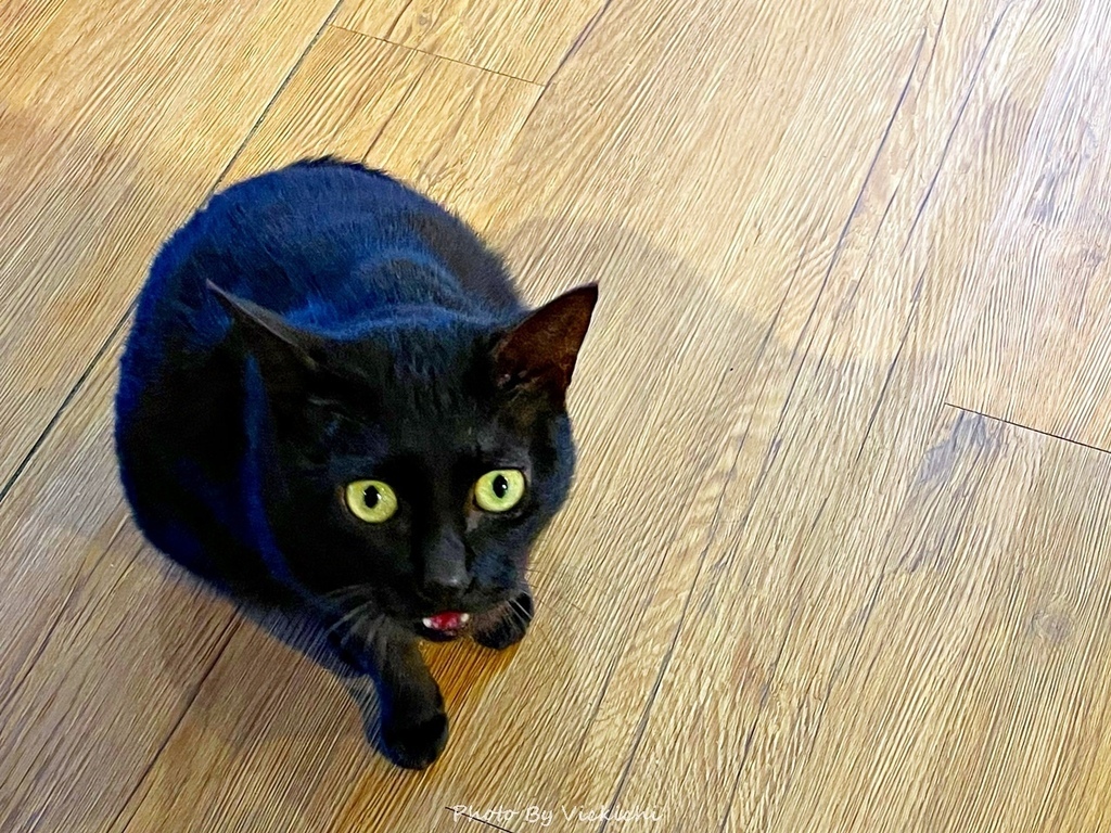 /tmp/phpzl1tBy /tmp/phpzl1tBy