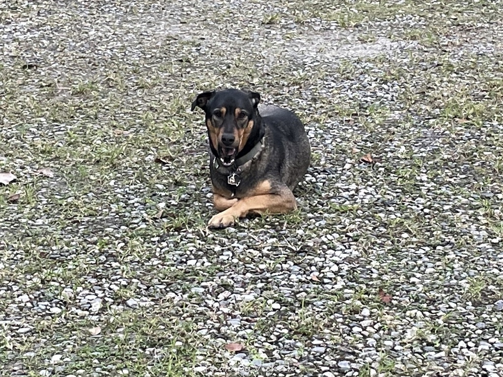 /tmp/phplWSFTk /tmp/phplWSFTk