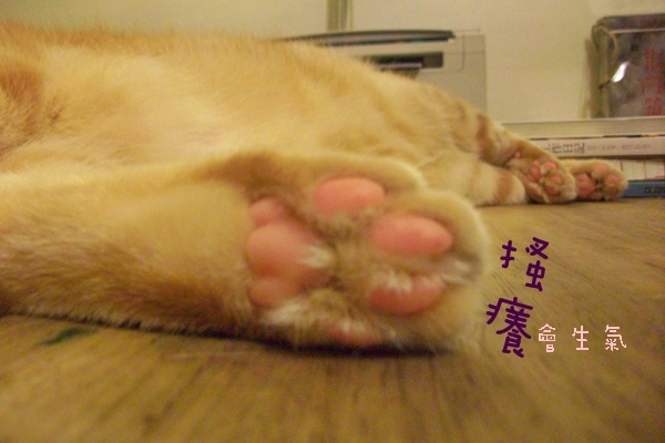 /tmp/phpWHeLGc /tmp/phpWHeLGc