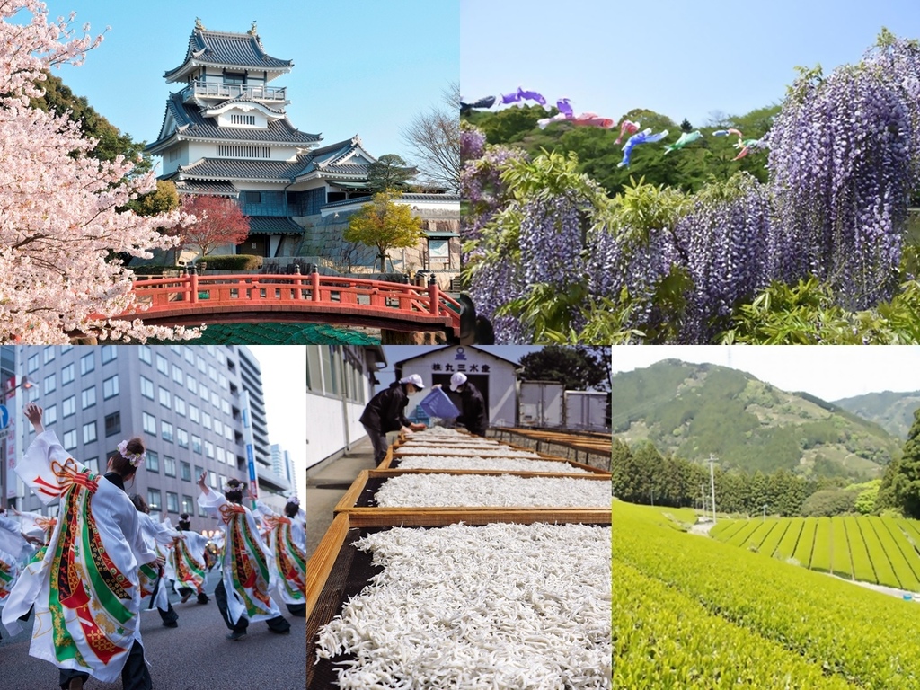 /tmp/phpNMzvok /tmp/phpNMzvok