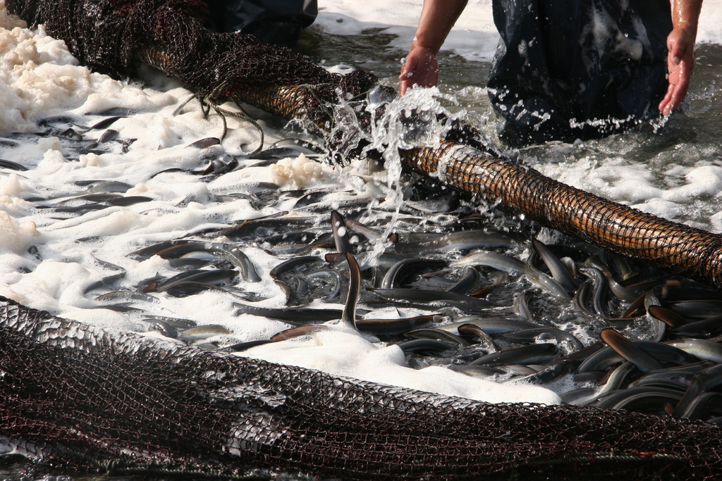 /tmp/php2FuADC /tmp/php2FuADC