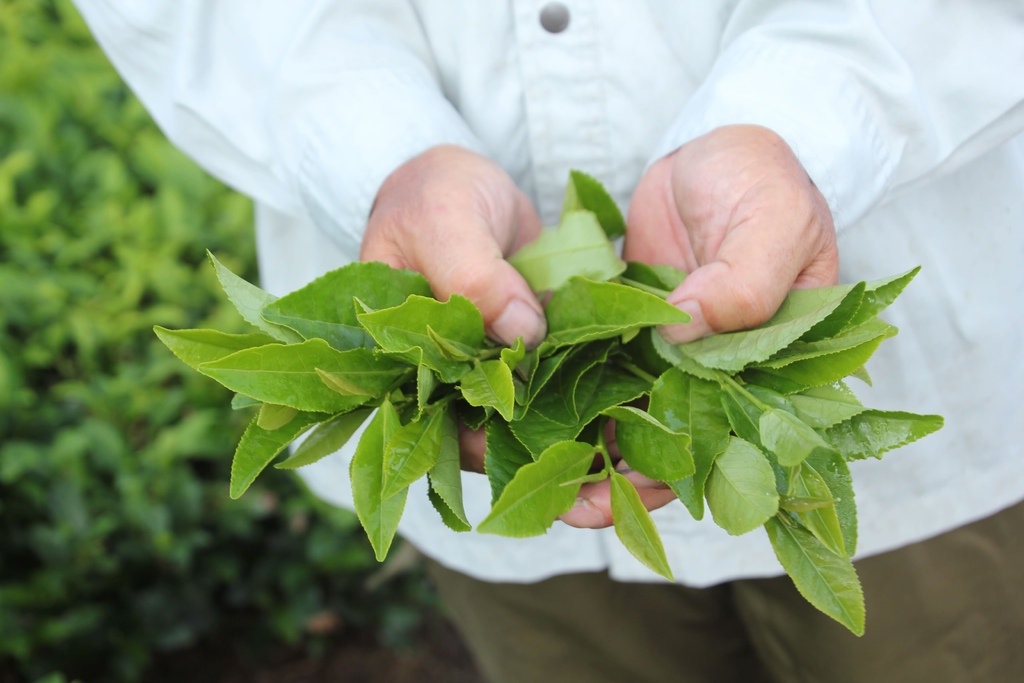 /tmp/php9TjRs6 /tmp/php9TjRs6