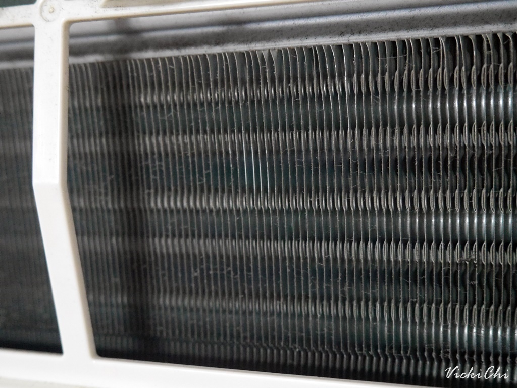 驅塵氏冷氣清潔劑 驅塵氏冷氣清潔劑