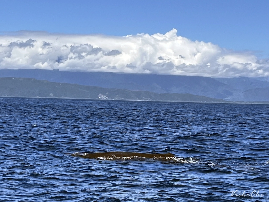 /tmp/phpynvFeY /tmp/phpynvFeY