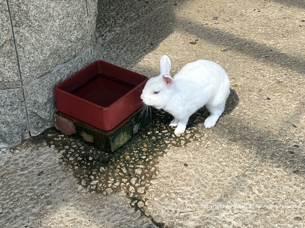 /tmp/phpvxugUi /tmp/phpvxugUi