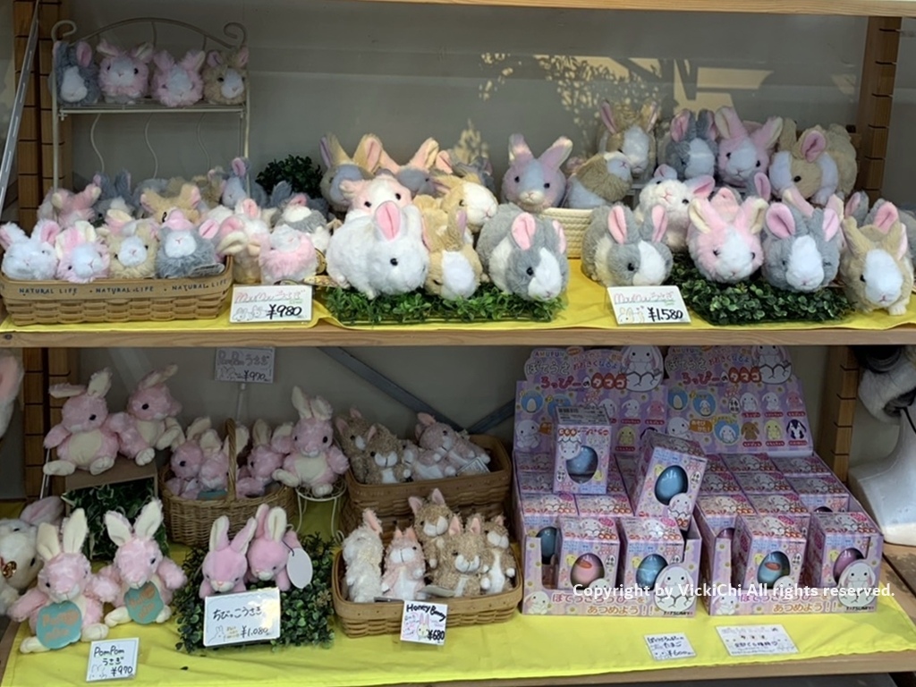 /tmp/phpDRScS8 /tmp/phpDRScS8