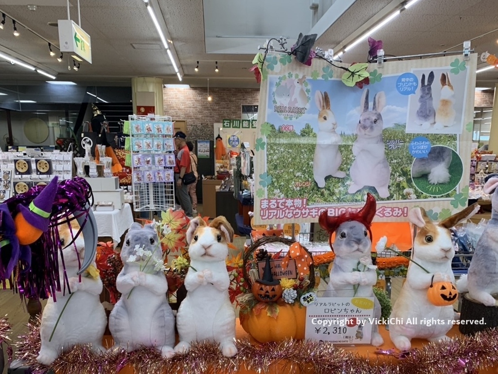 /tmp/phpq6UpMX /tmp/phpq6UpMX