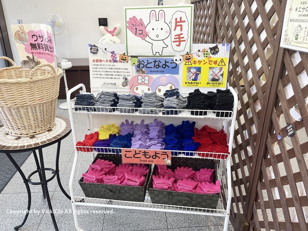 /tmp/phpJ10FvA /tmp/phpJ10FvA