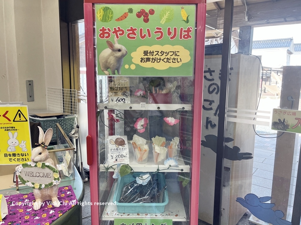 /tmp/phpQGTTJi /tmp/phpQGTTJi