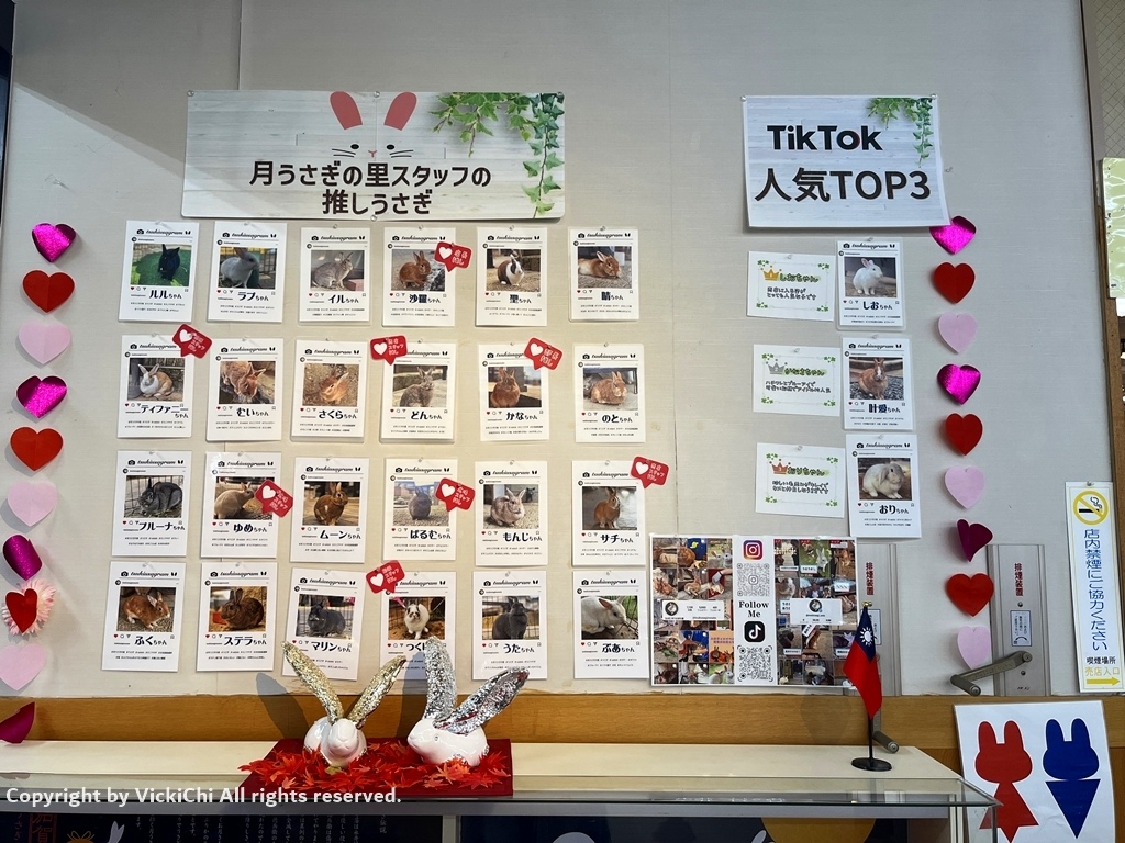 /tmp/phpNTk6bX /tmp/phpNTk6bX