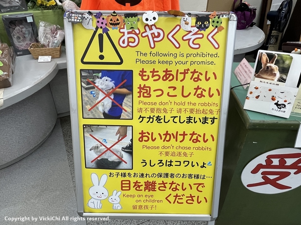 /tmp/phpMxZNIT /tmp/phpMxZNIT