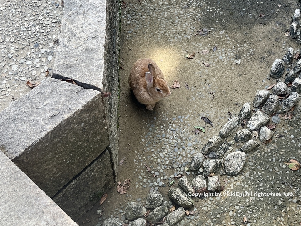 /tmp/php9hWSoY /tmp/php9hWSoY