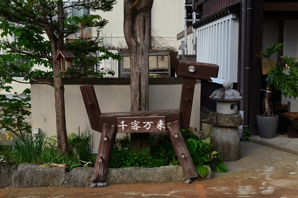 DSC_2526.jpg