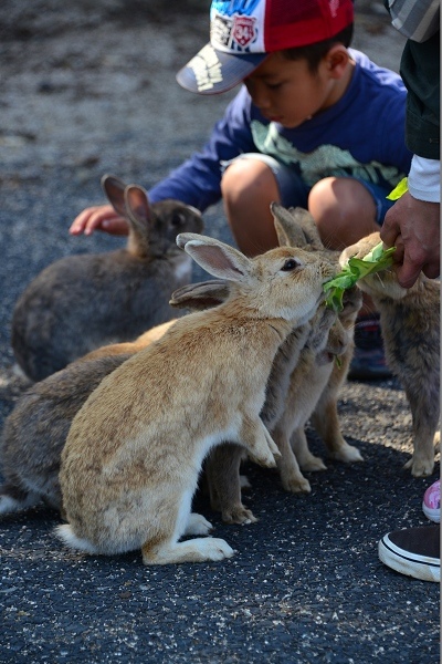DSC_7934.jpg DSC_7934.jpg