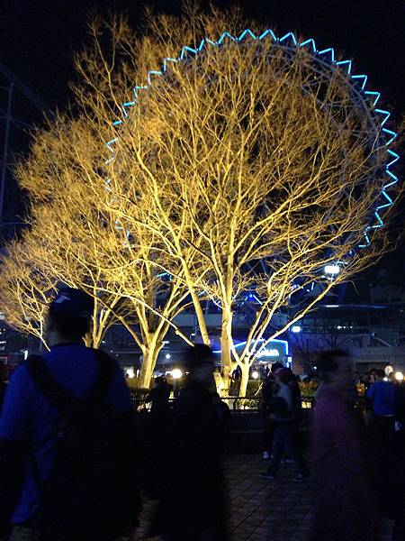 IMG_1576.JPG IMG_1576.JPG