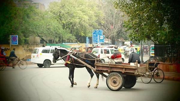 21779_10155434881160582_3248543415095083511_n.jpg 21779_10155434881160582_3248543415095083511_n.jpg