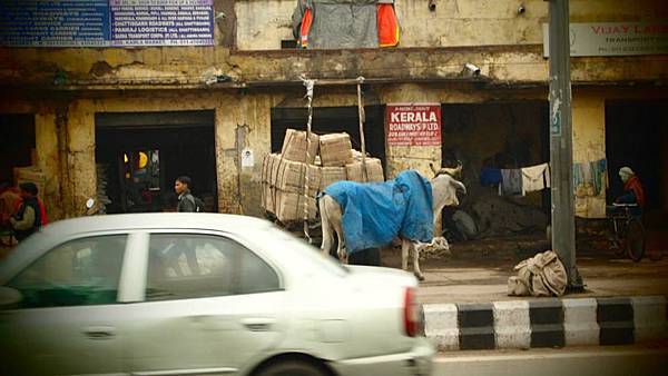 10250230_10155434880810582_463806994341092508_n.jpg 10250230_10155434880810582_463806994341092508_n.jpg