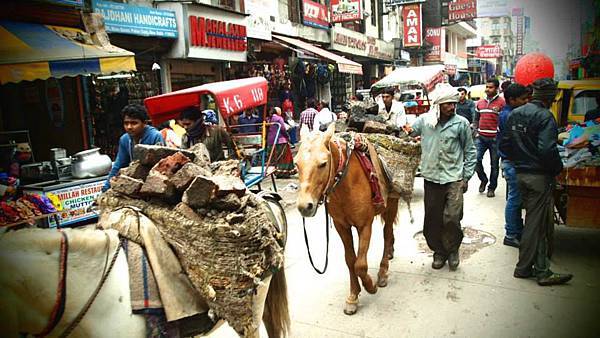 11148441_10155434883645582_4424328291056696422_n.jpg 11148441_10155434883645582_4424328291056696422_n.jpg