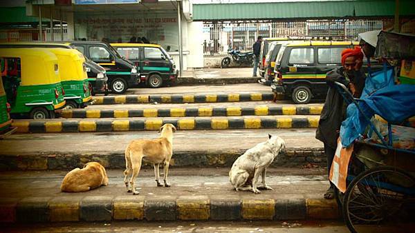 11169838_10155434880485582_5610923818747969867_n.jpg 11169838_10155434880485582_5610923818747969867_n.jpg