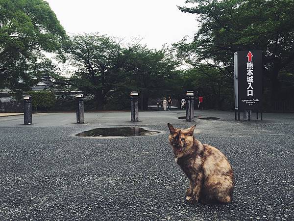 IMG_3558.JPG IMG_3558.JPG