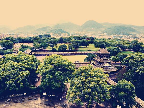 IMG_3543.JPG IMG_3543.JPG