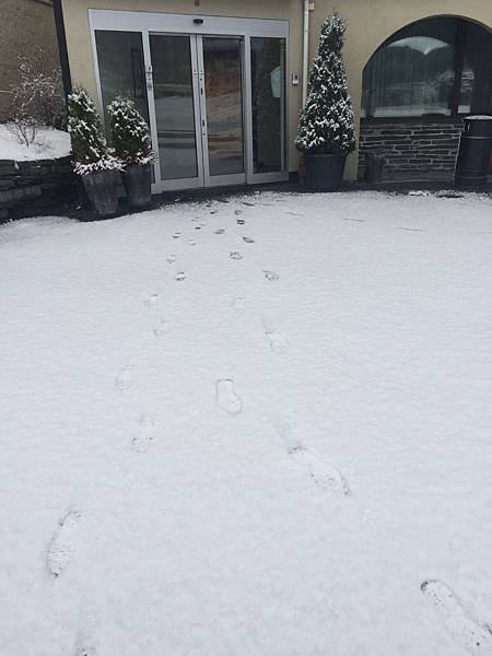 IMG_0907.JPG IMG_0907.JPG